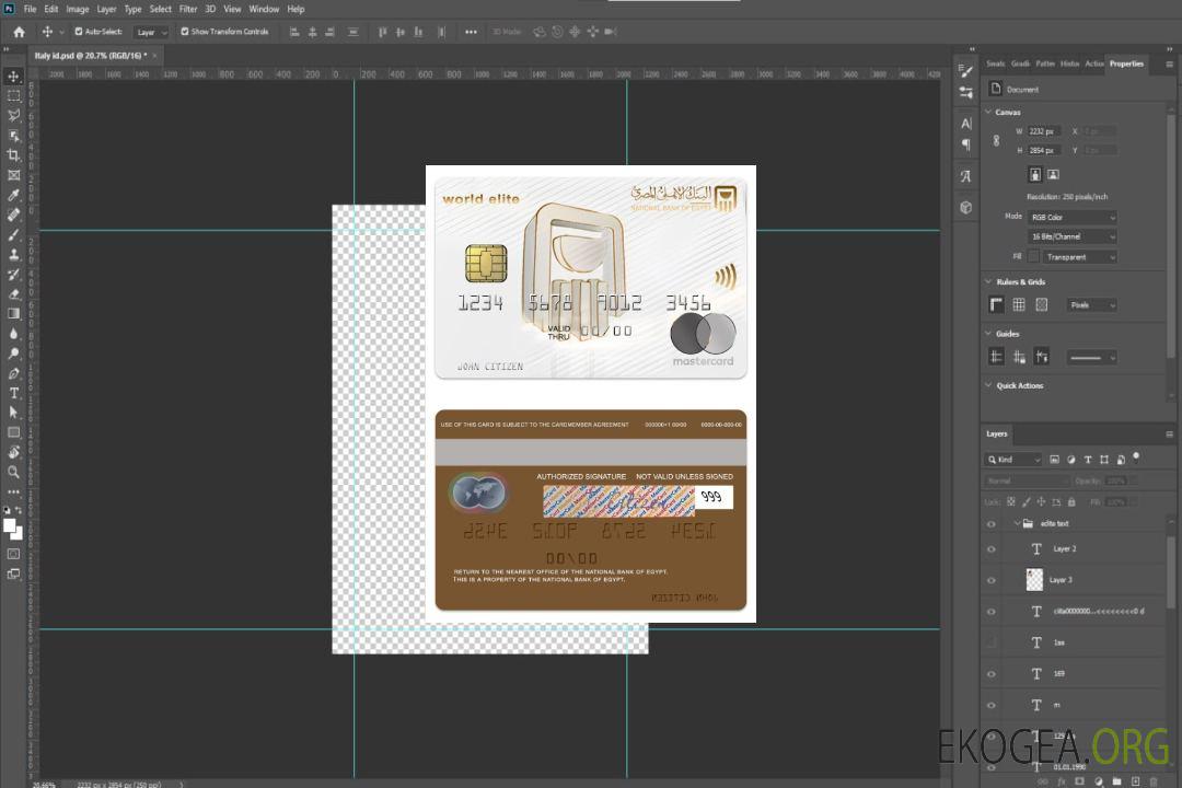 Égypte Banque nationale d'Égypte Mastercard d'élite mondiale template Égypte Banque nationale d'Égypte Mastercard d'élite mondiale template